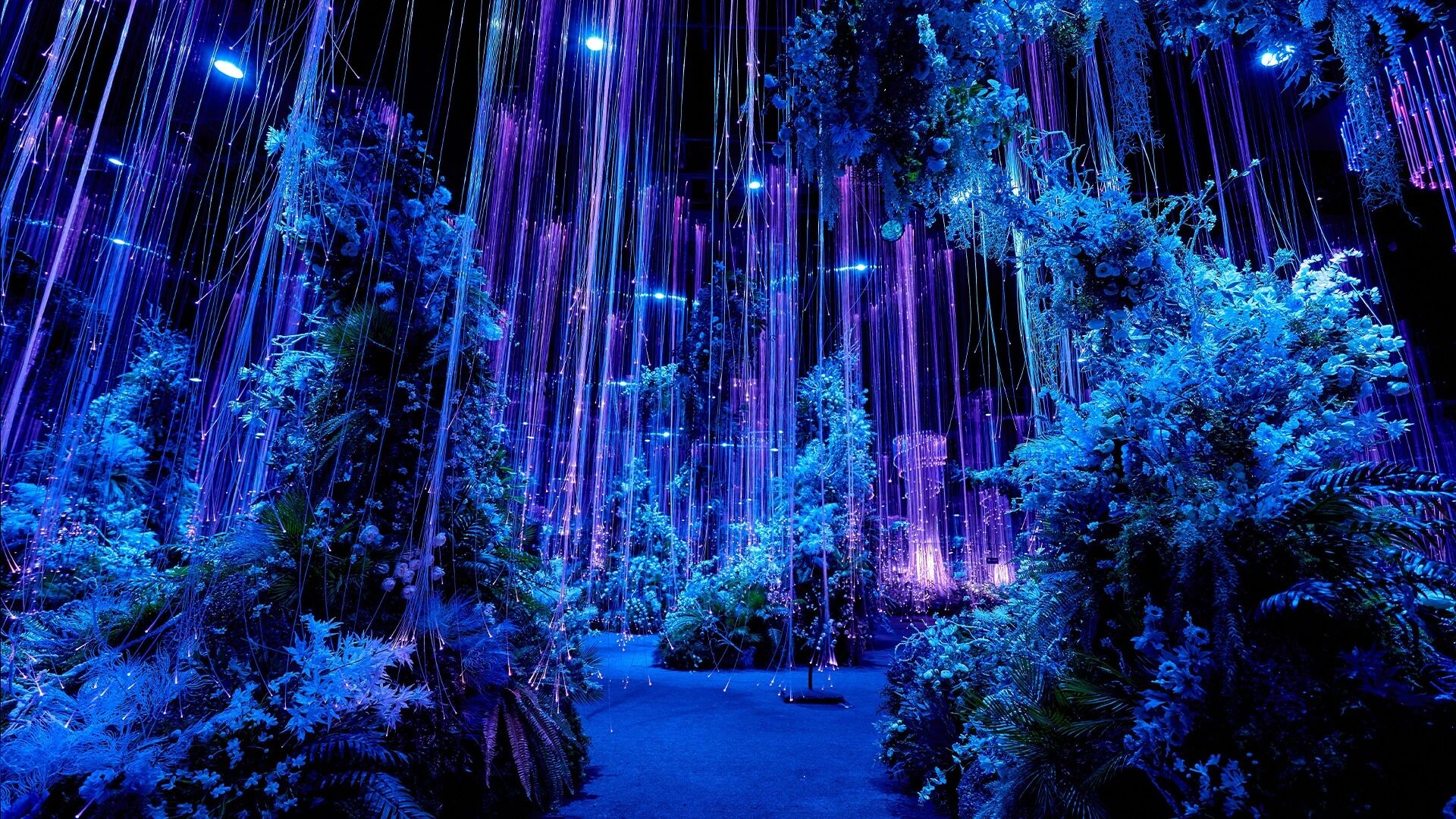 夜光丛林
