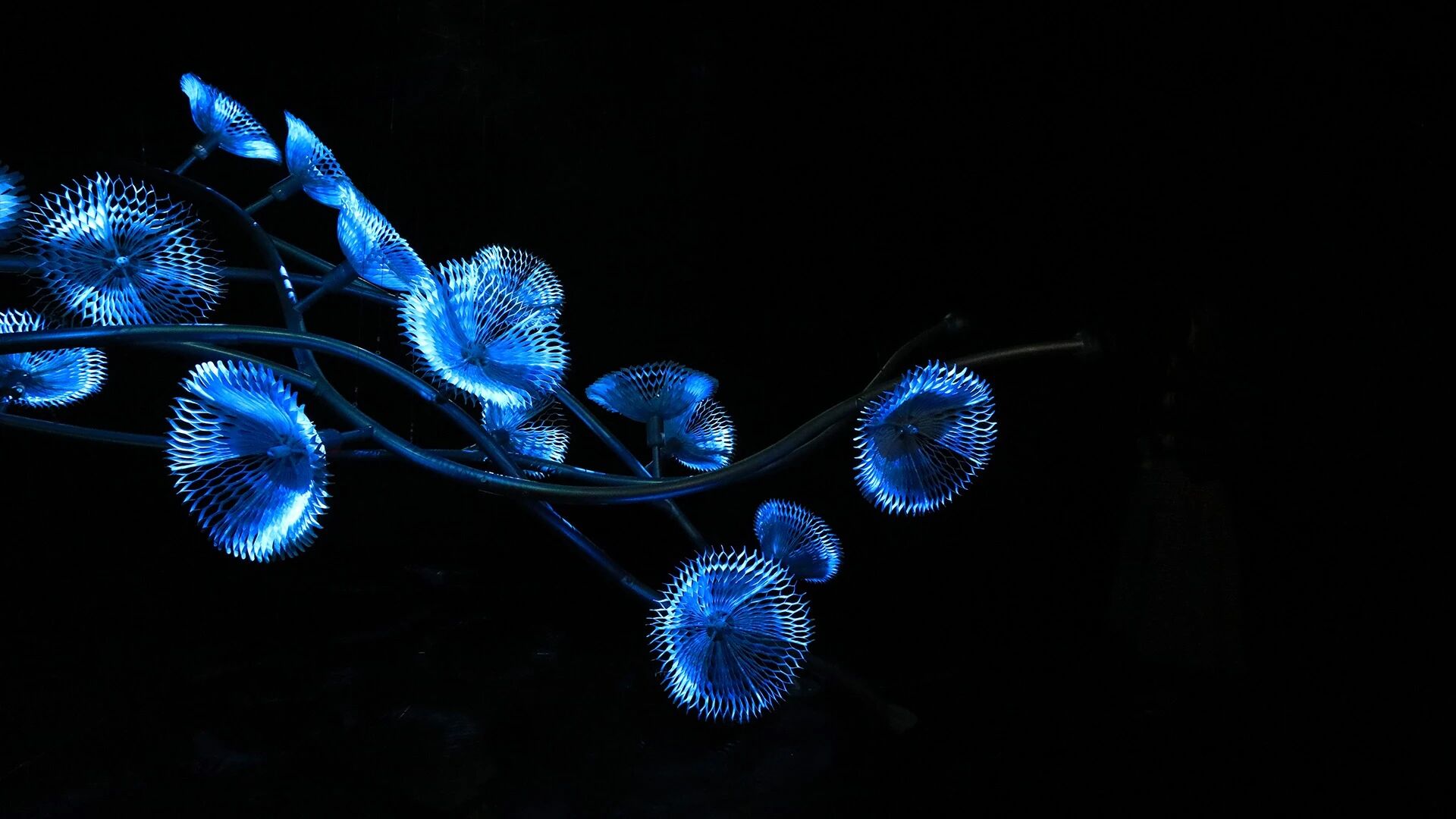 花影 I