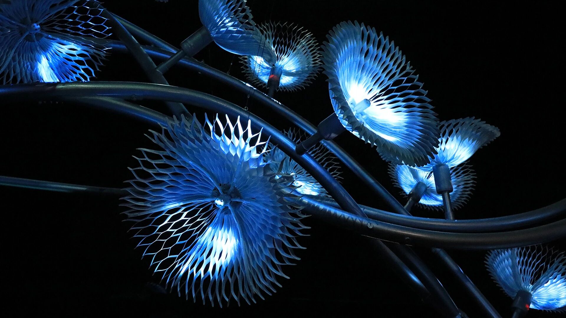 花影 I