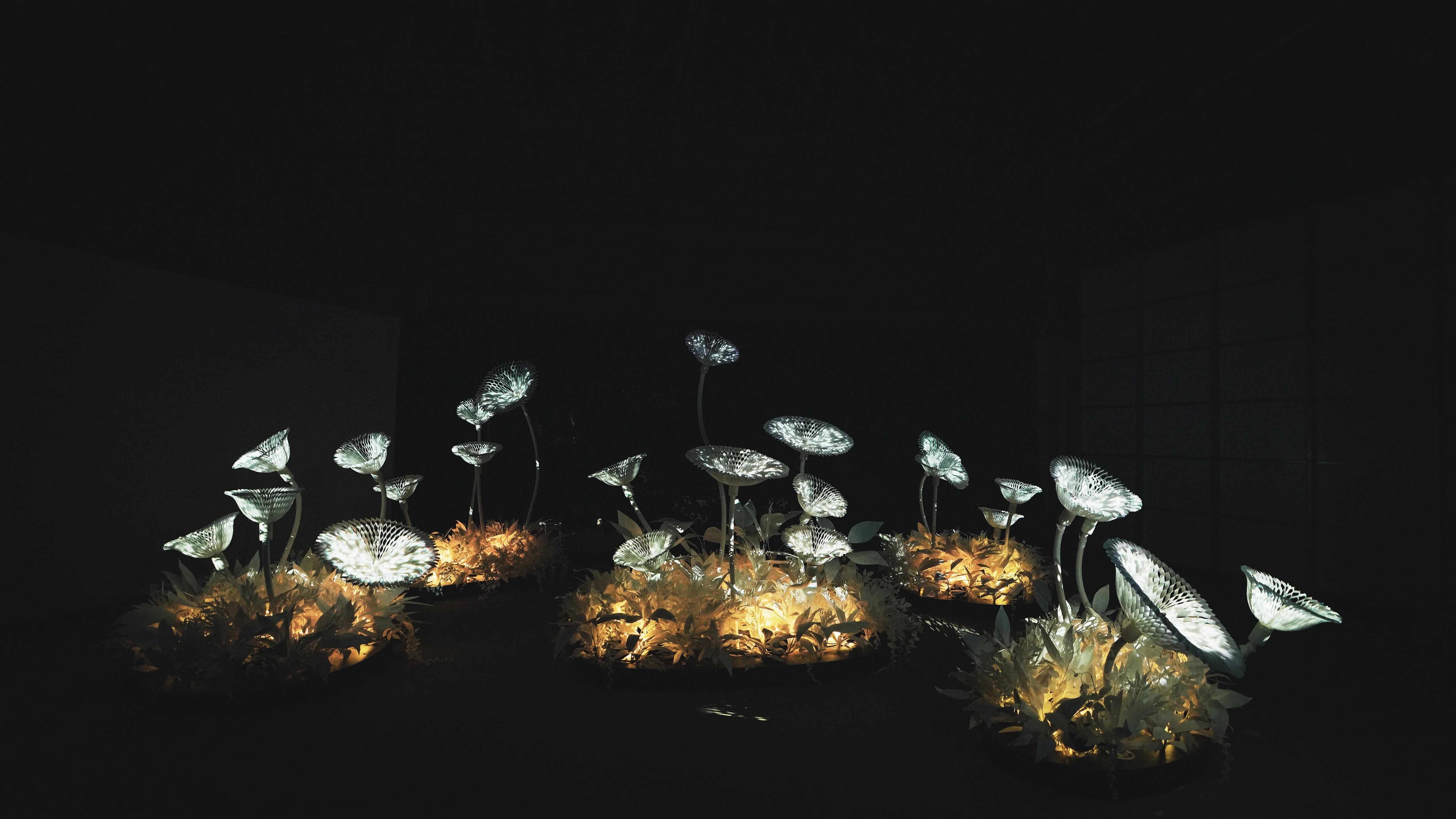 花影 II