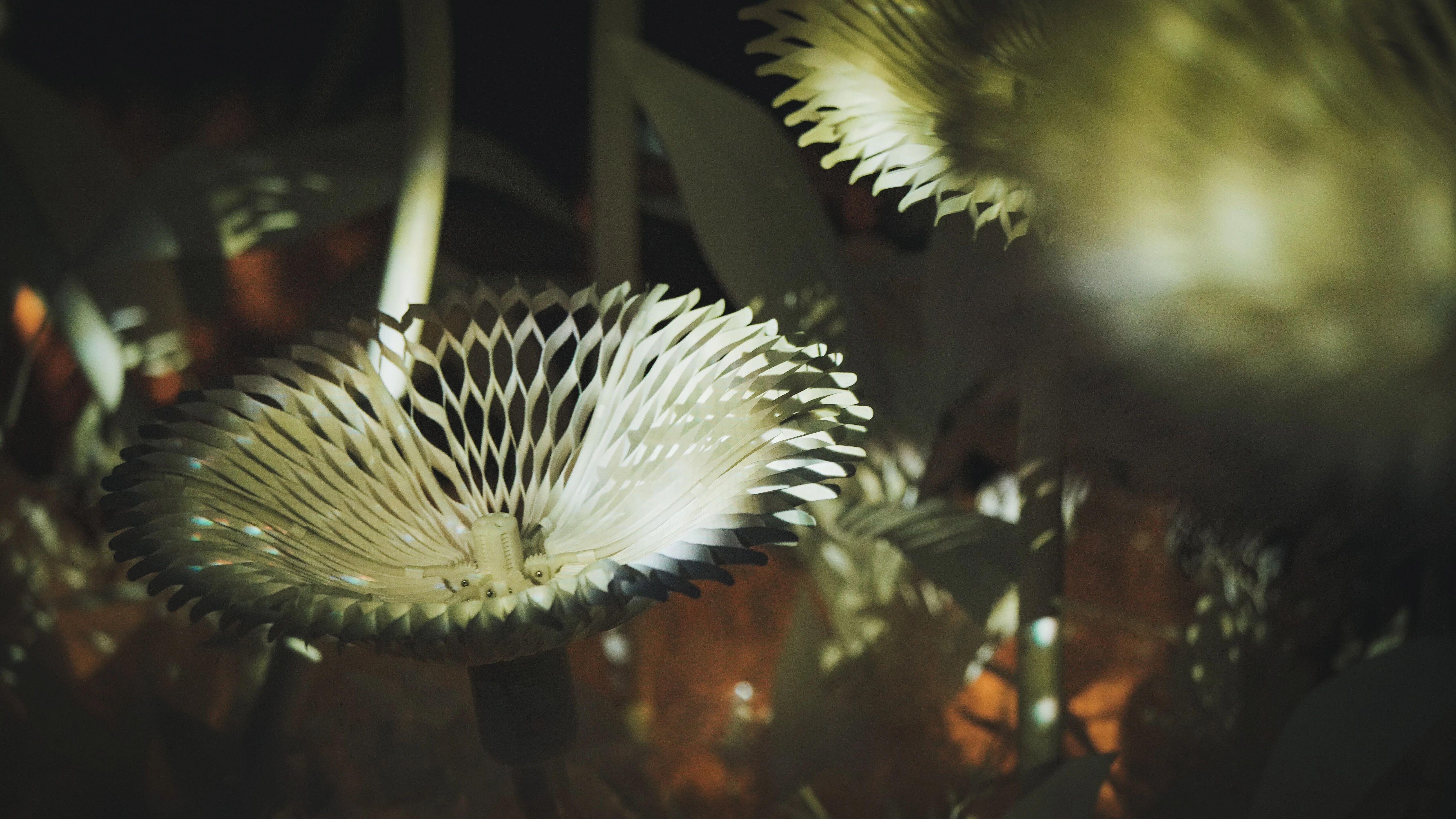 花影 II