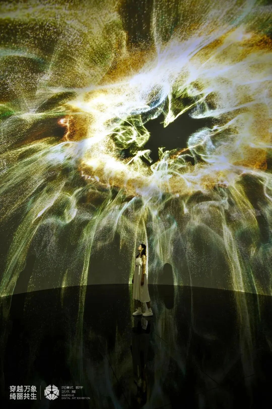 梦 · 作品图片 6