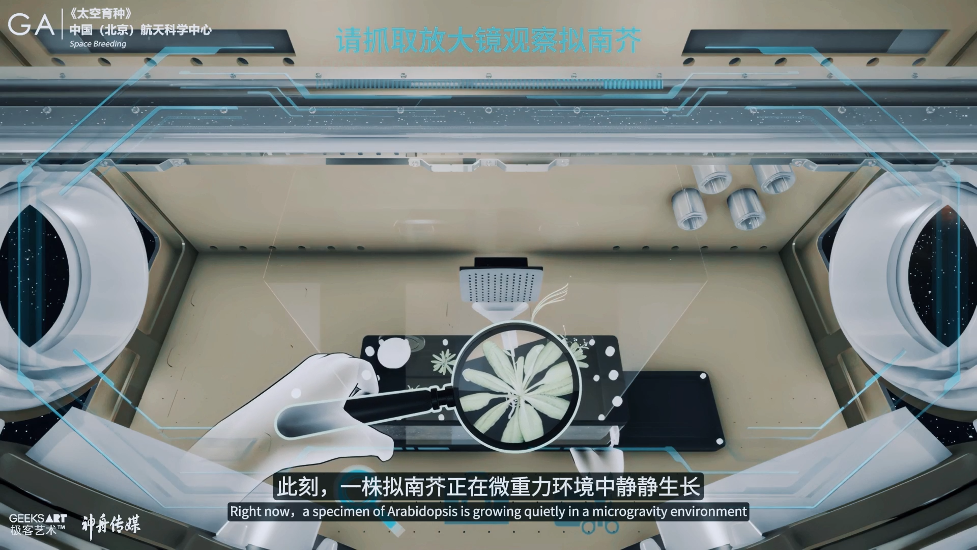 太空育种“拟南芥”采集 · 作品图片 1