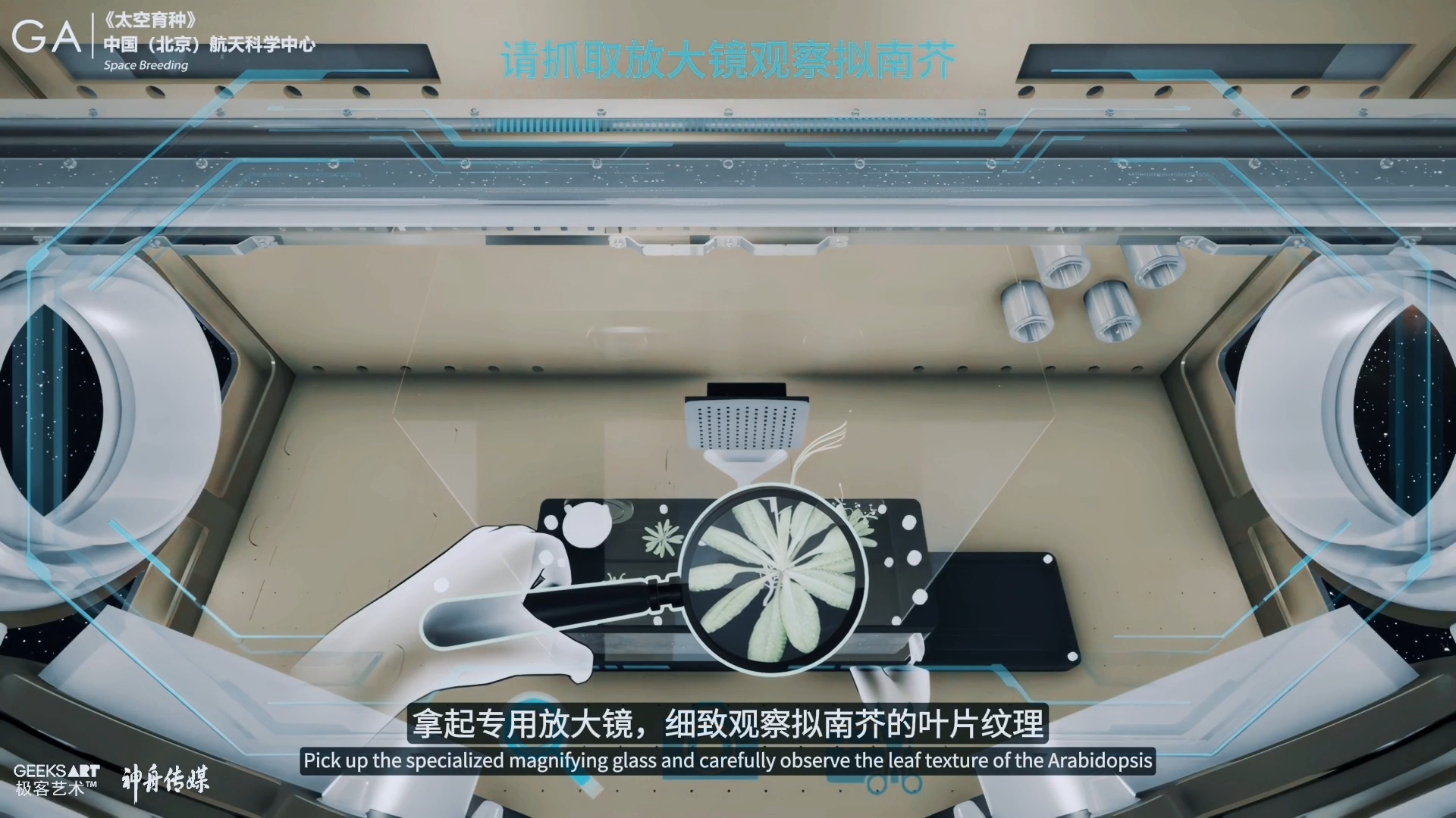 太空育种“拟南芥”采集 · 作品图片 4