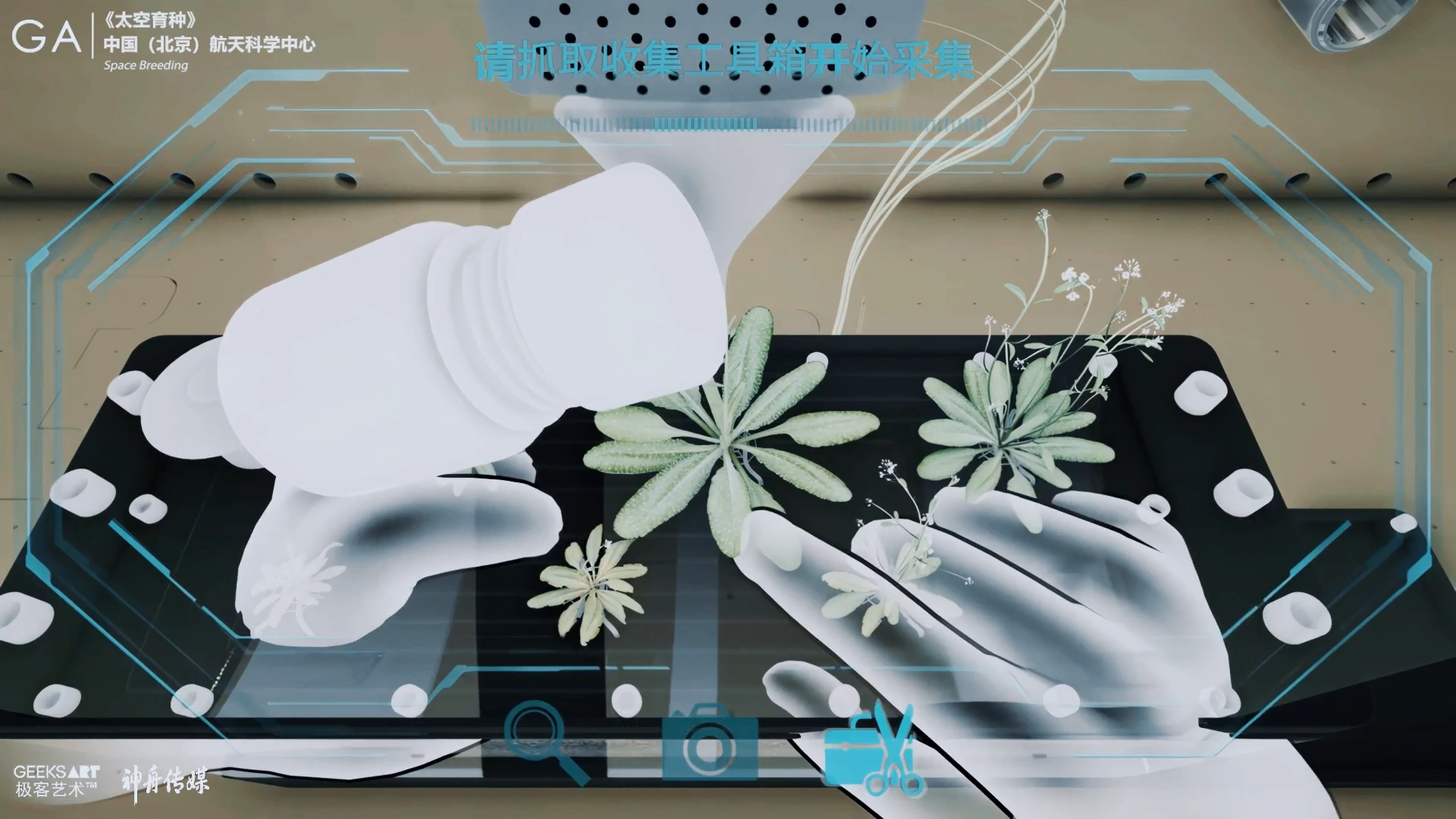 太空育种“拟南芥”采集 · 作品图片 5